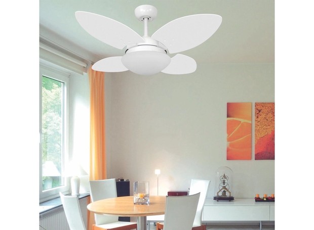 Funcionalidades Extras que Fazem a Diferença: Reversão e Mais - inspiração 1