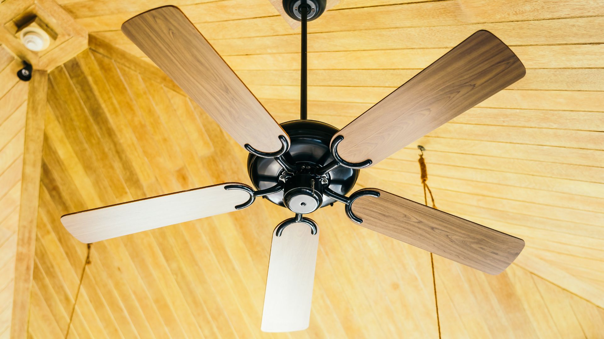 Manutenção Fácil: Mantenha Seu Ventilador em Perfeito Estado - inspiração 2