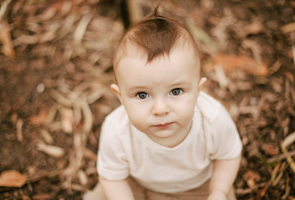 acompanhamento do bebe