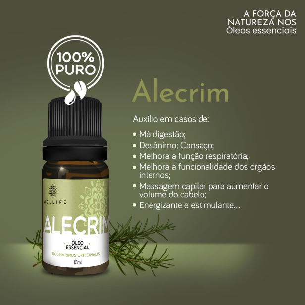 alecrim no cabelo benefícios