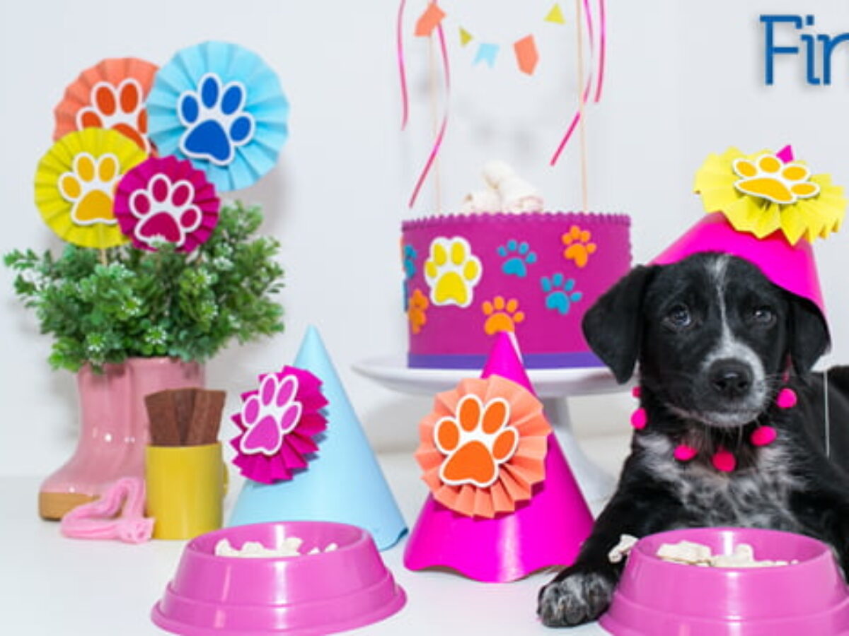 decoração aniversário cachorro patrulha canina simples