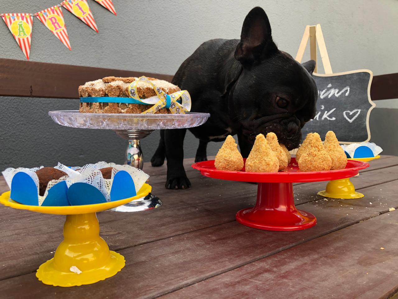 melhores ideias decoração aniversário cachorro