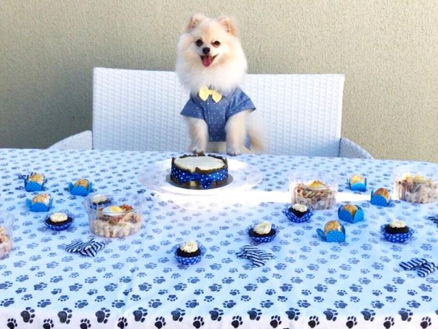 aniversário de cachorro decoração