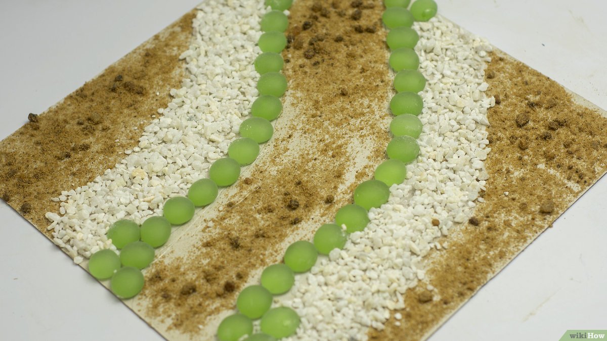 Transforme Suas Revistas Velhas em Obras de Arte Únicas