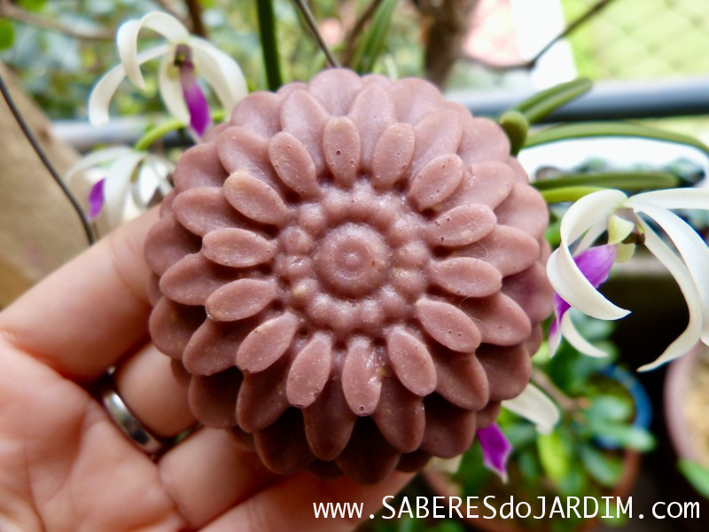 Dicas Essenciais para Evitar Bolhas no Sabonete Transparente