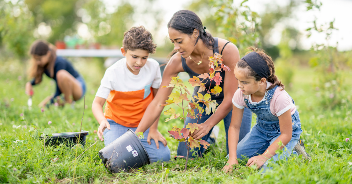 Guia Completo: Como Escolher o Melhor Projeto de Voluntariado para Sua Família