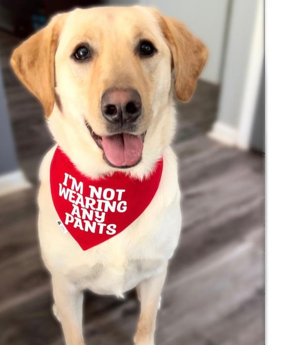 5 ideias de títulos