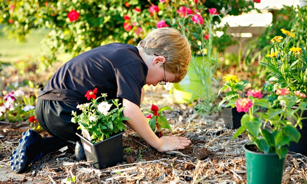 Benefícios de aprender jardinagem com as crianças no final de semana