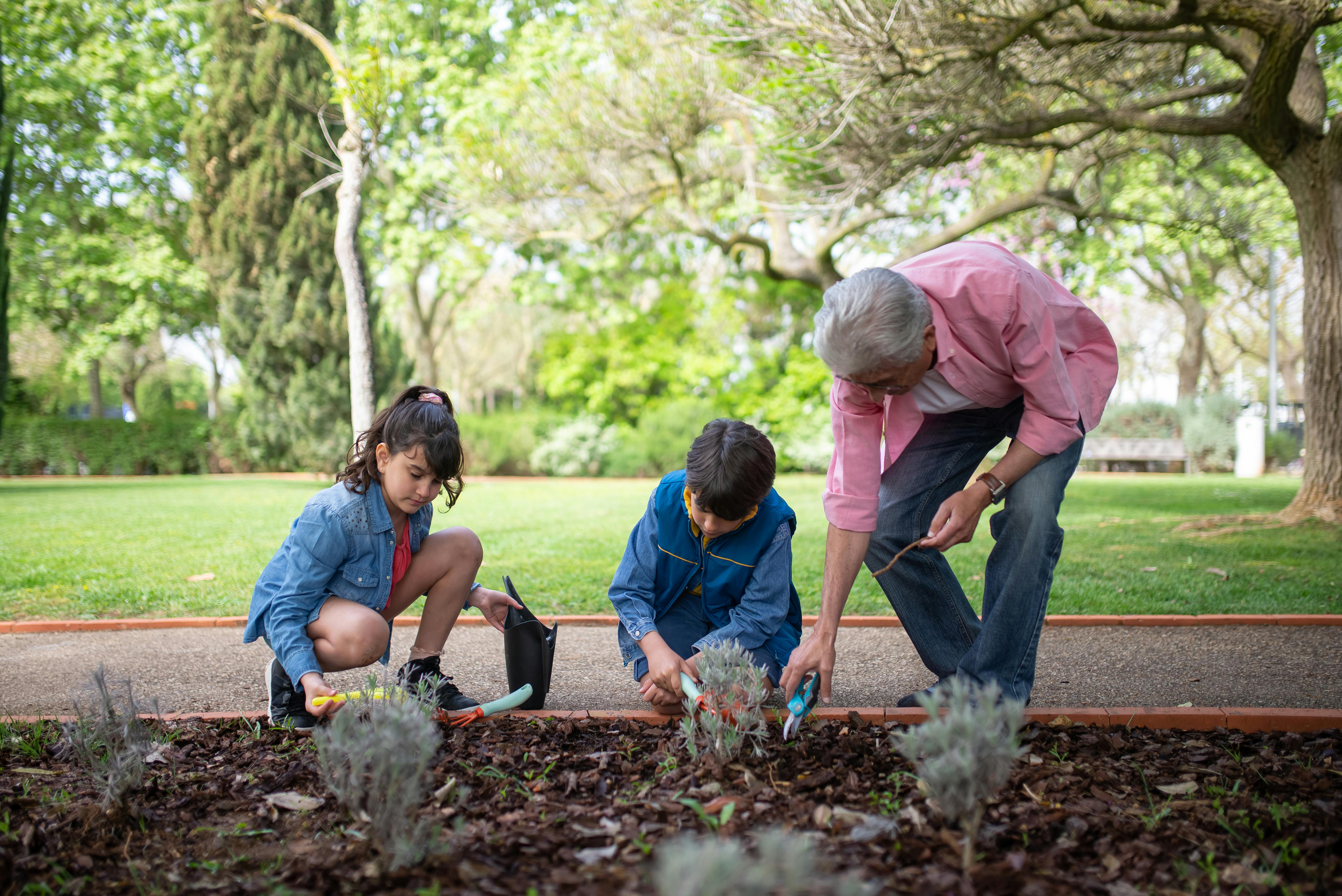 Diário do Jardineiro: A Ferramenta Perfeita para Crianças Acompanharem o Crescimento