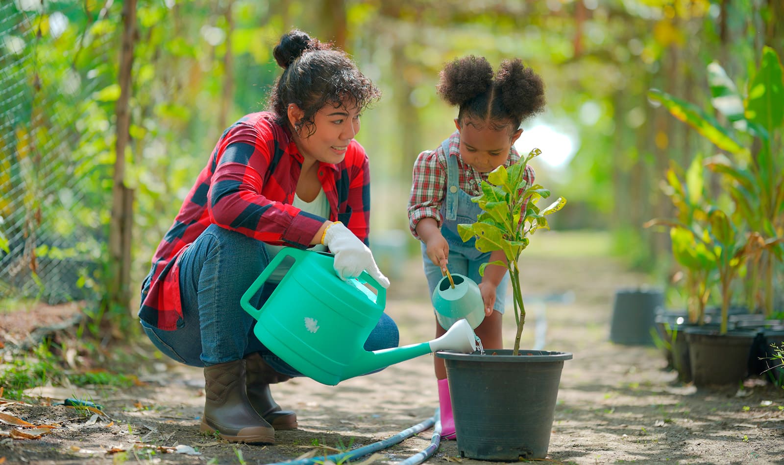 Benefícios de aprender jardinagem com as crianças no final de semana