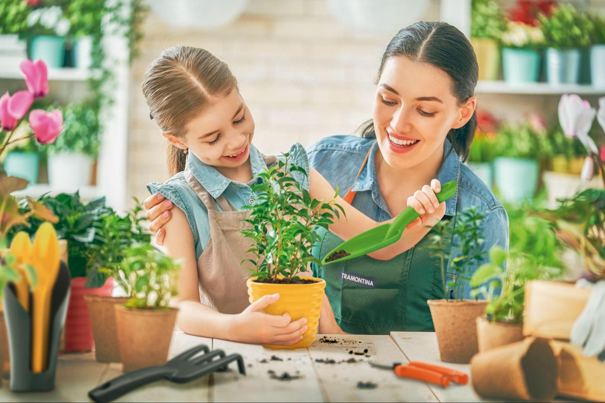 10 Plantas Fáceis para Cultivar com Crianças em Casa