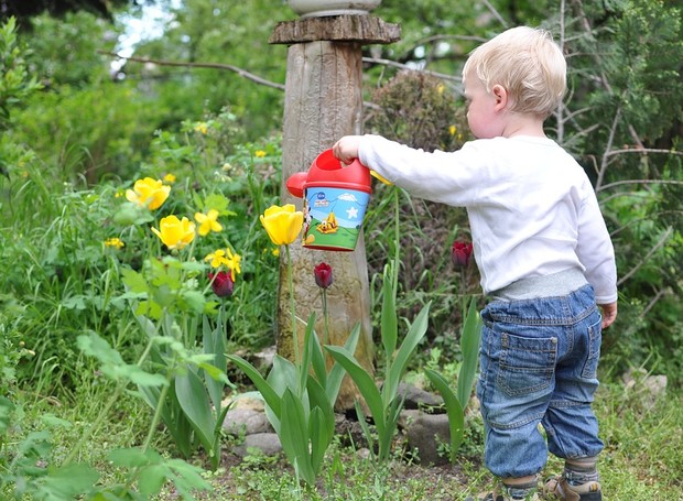 Guia Completo de Ferramentas de Jardinagem Seguras para Crianças