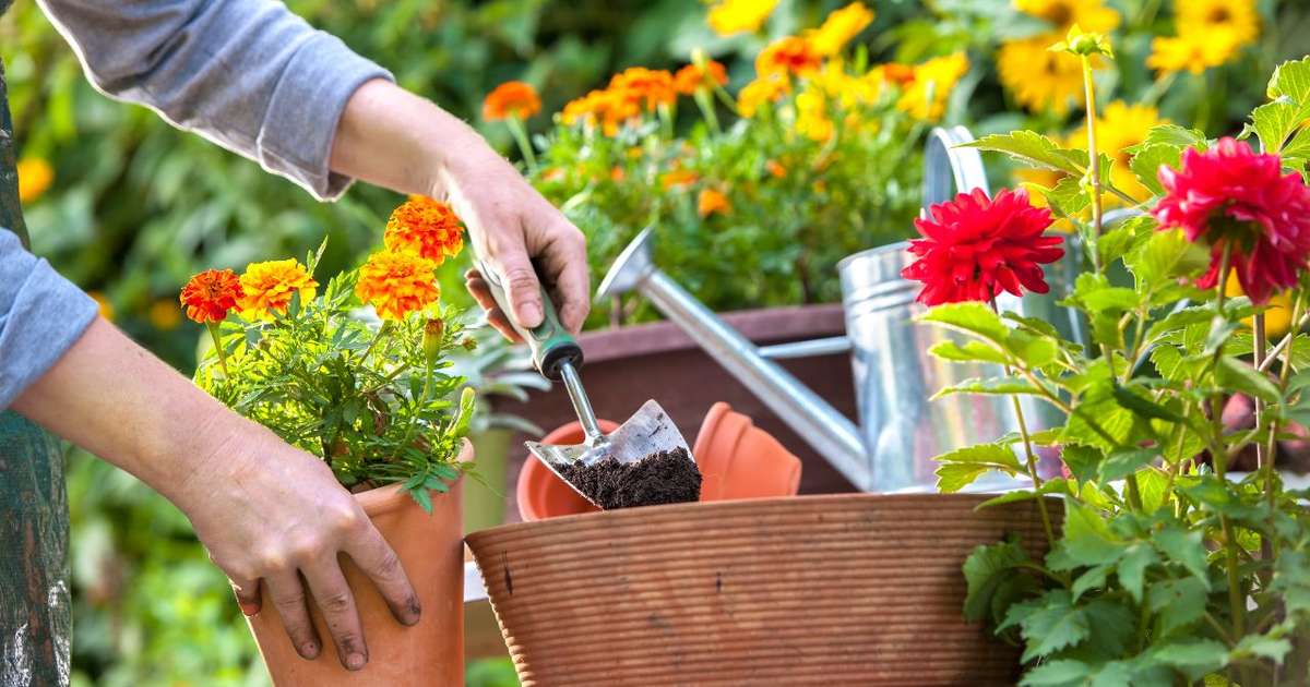 exercícios físicos ao ar livre jardinagem