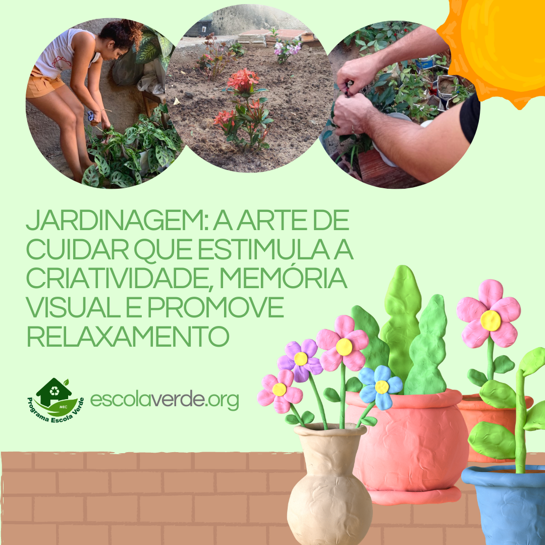 jardinagem e bem-estar biopsicossocial