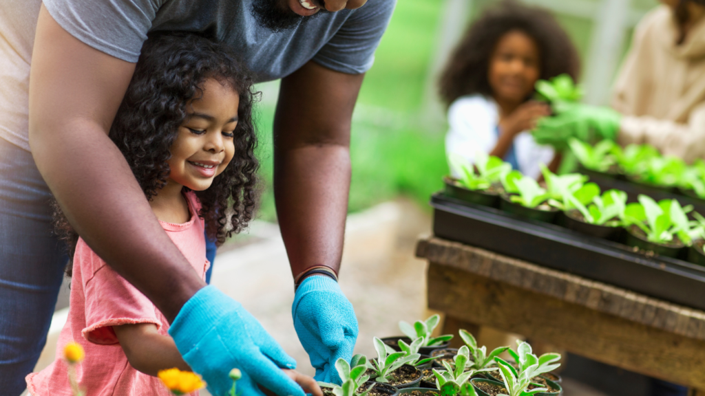 jardinagem como terapia para ansiedade