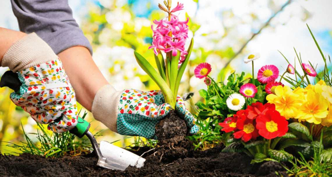 exercícios físicos ao ar livre jardinagem