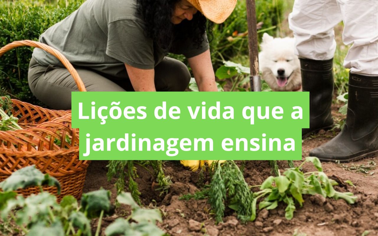 impacto da jardinagem na imunidade