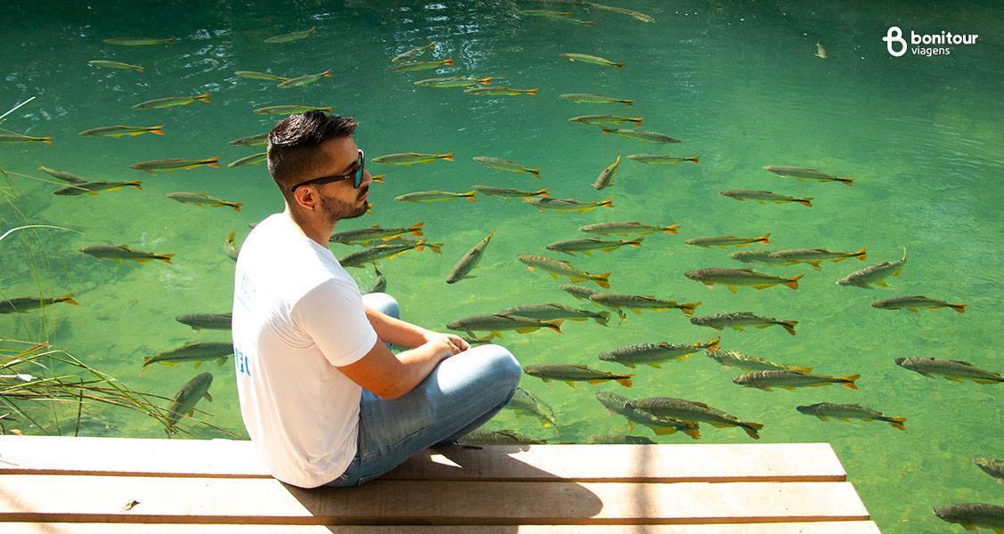 benefícios de sair de grupos de WhatsApp de viagem