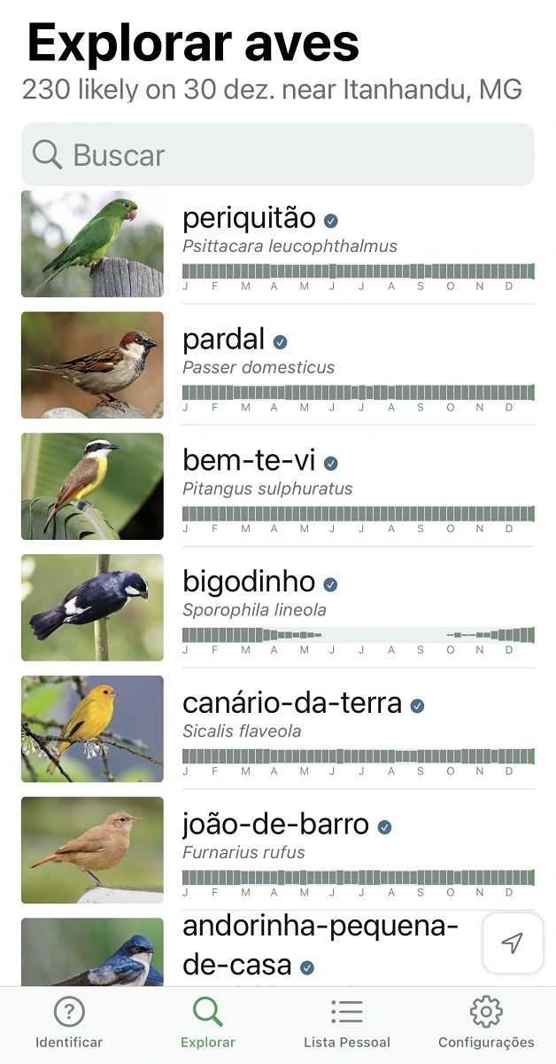 Guia Completo para Iniciantes no Birdwatching: Equipamentos e Dicas