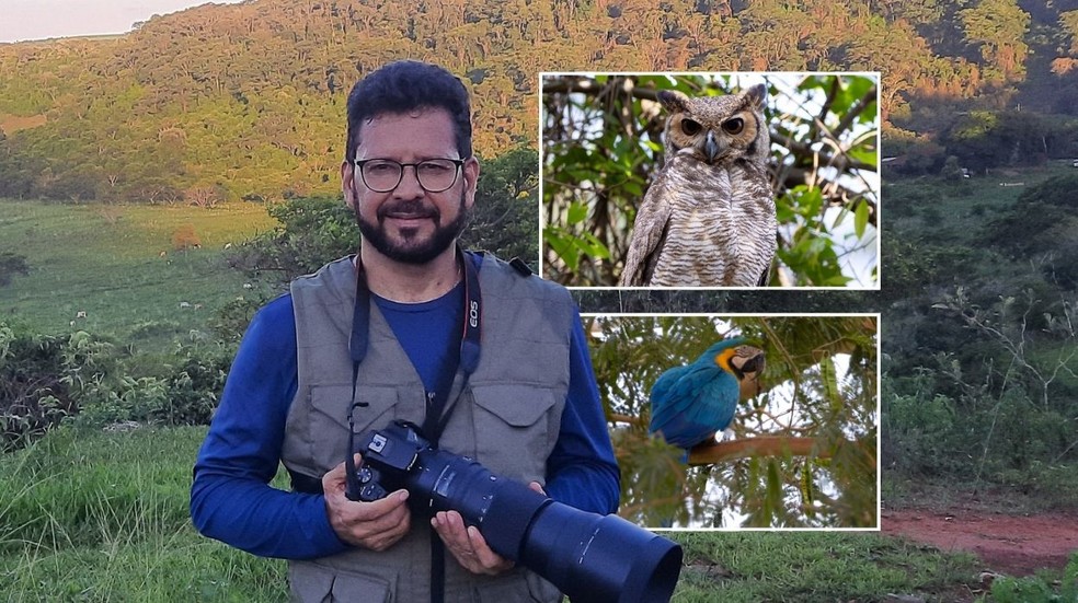 Como a Ciência Cidadã no Birdwatching Ajuda a Preservar Espécies
