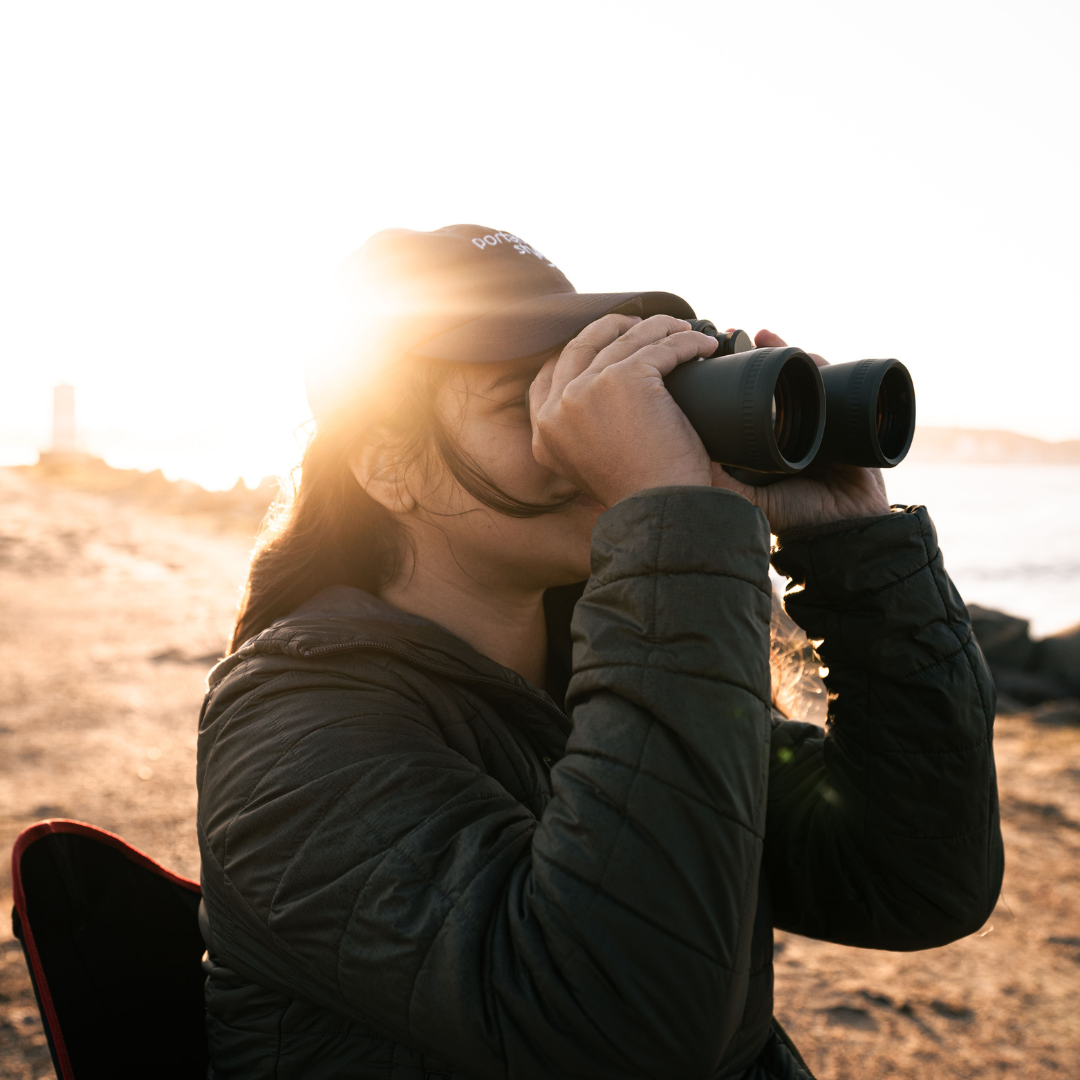 Os Melhores Locais para Observar Pássaros no Brasil