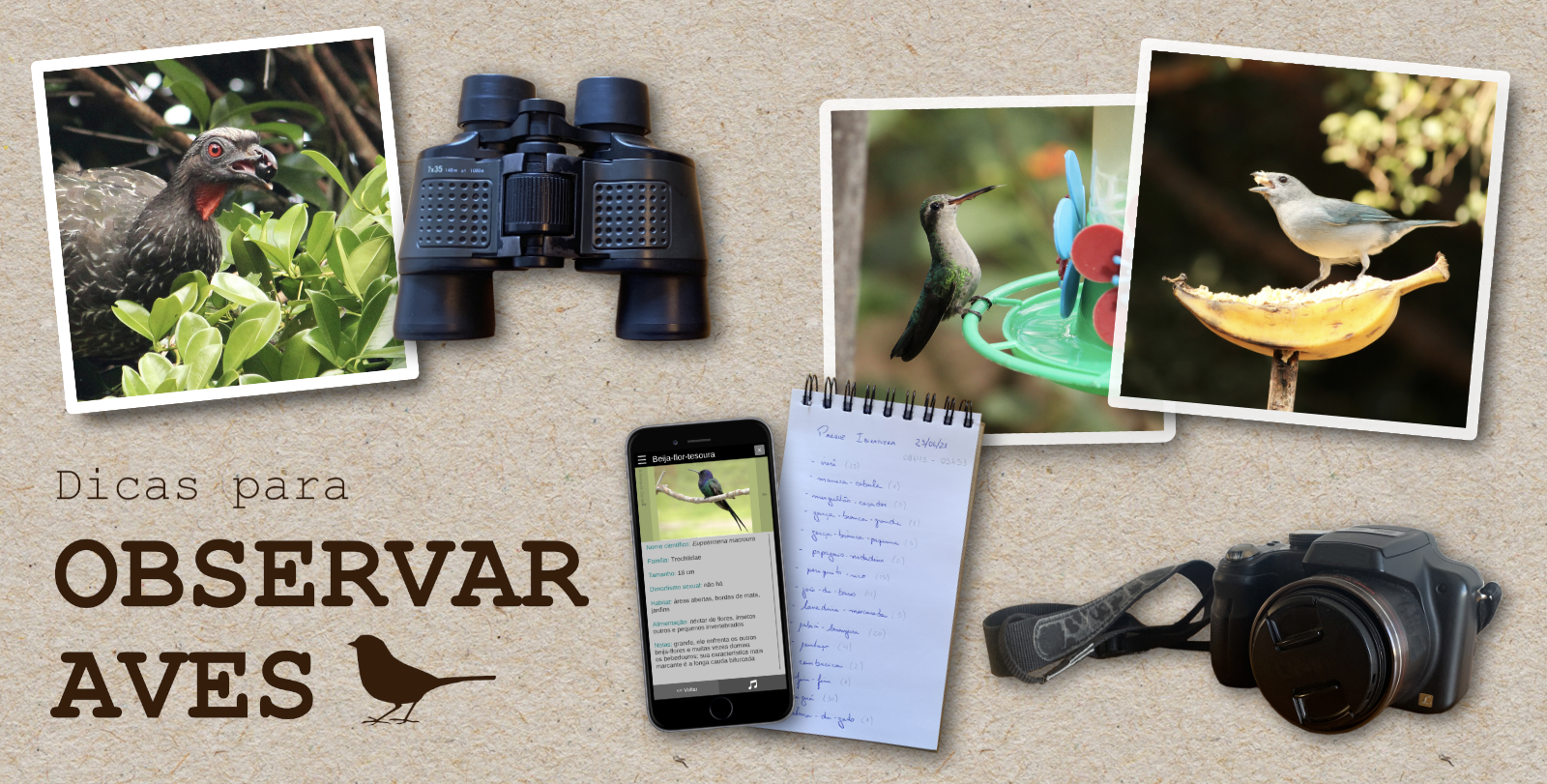 desenvolvimento infantil atividade ao ar livre