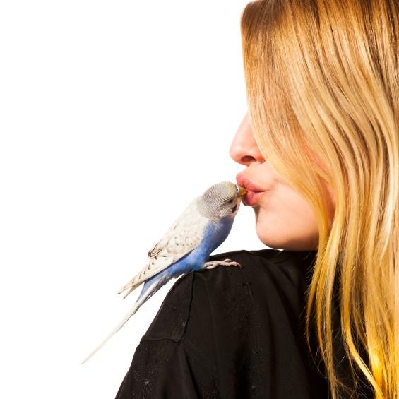 desenvolvimento infantil atividade ao ar livre