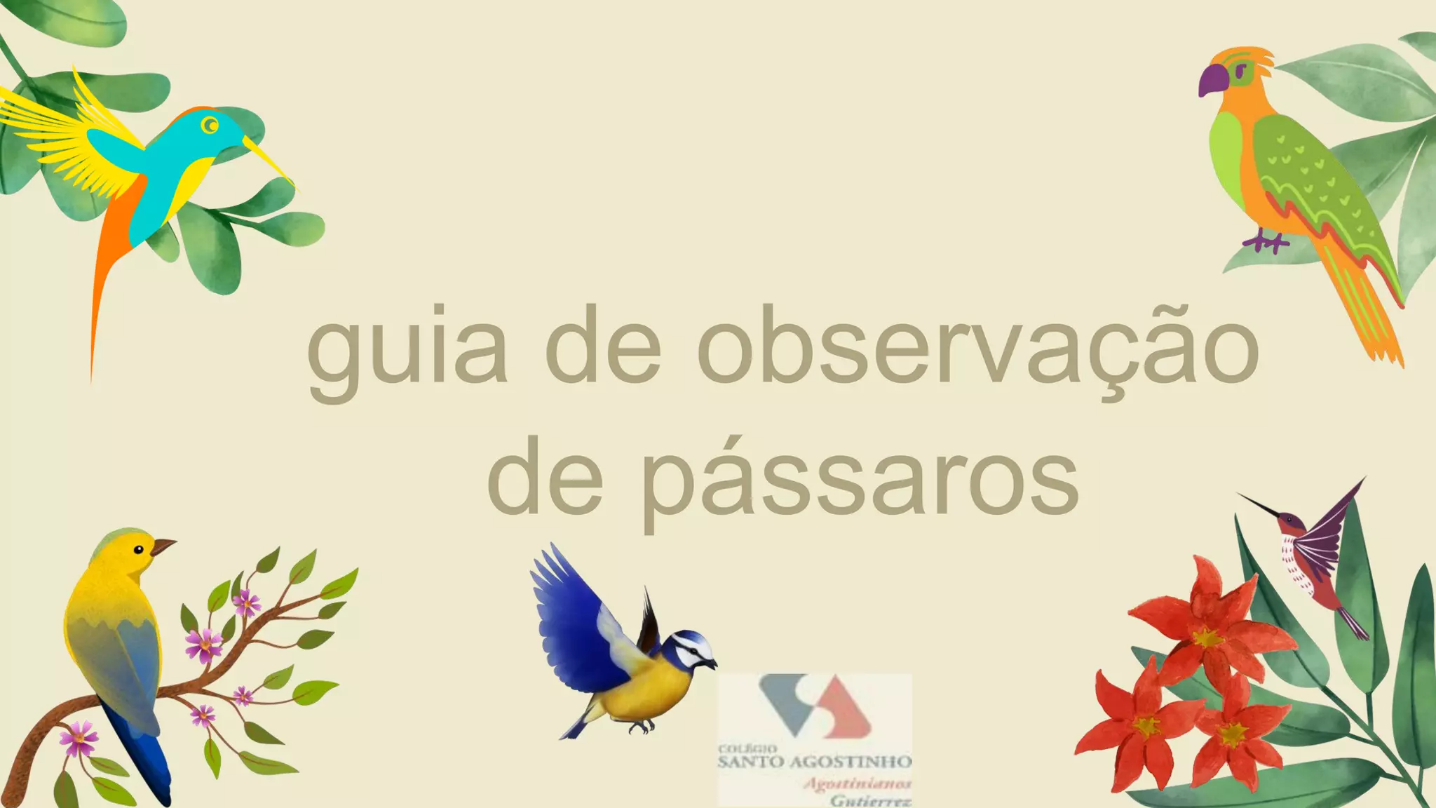 importância birdwatching infantil