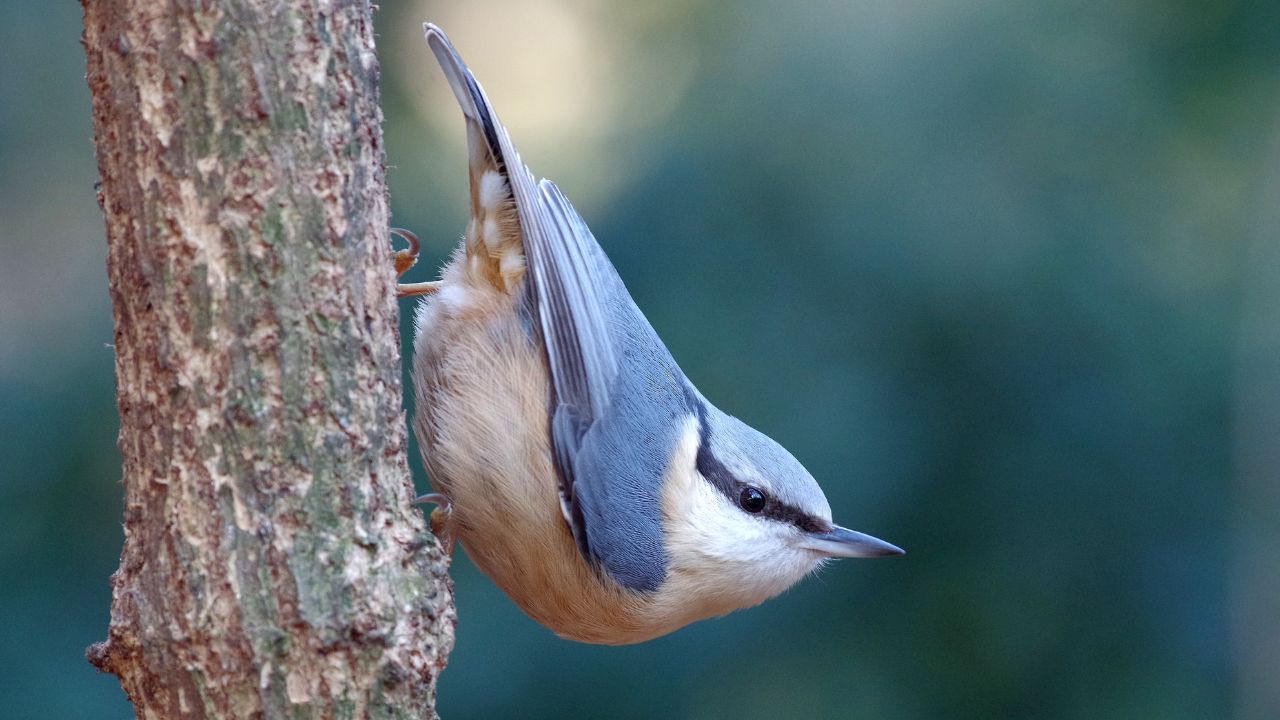 desenvolvimento infantil atividade ao ar livre