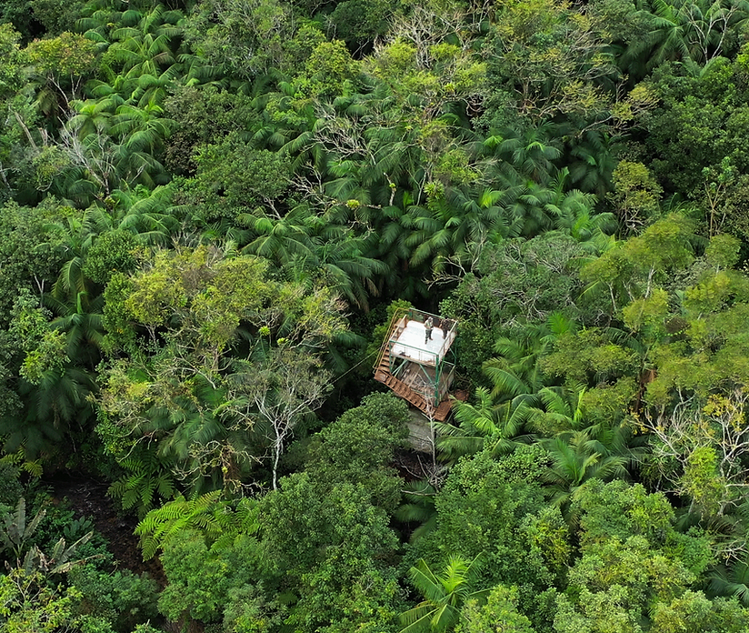 Benefícios de ter um hobby de observação de pássaros com filhos