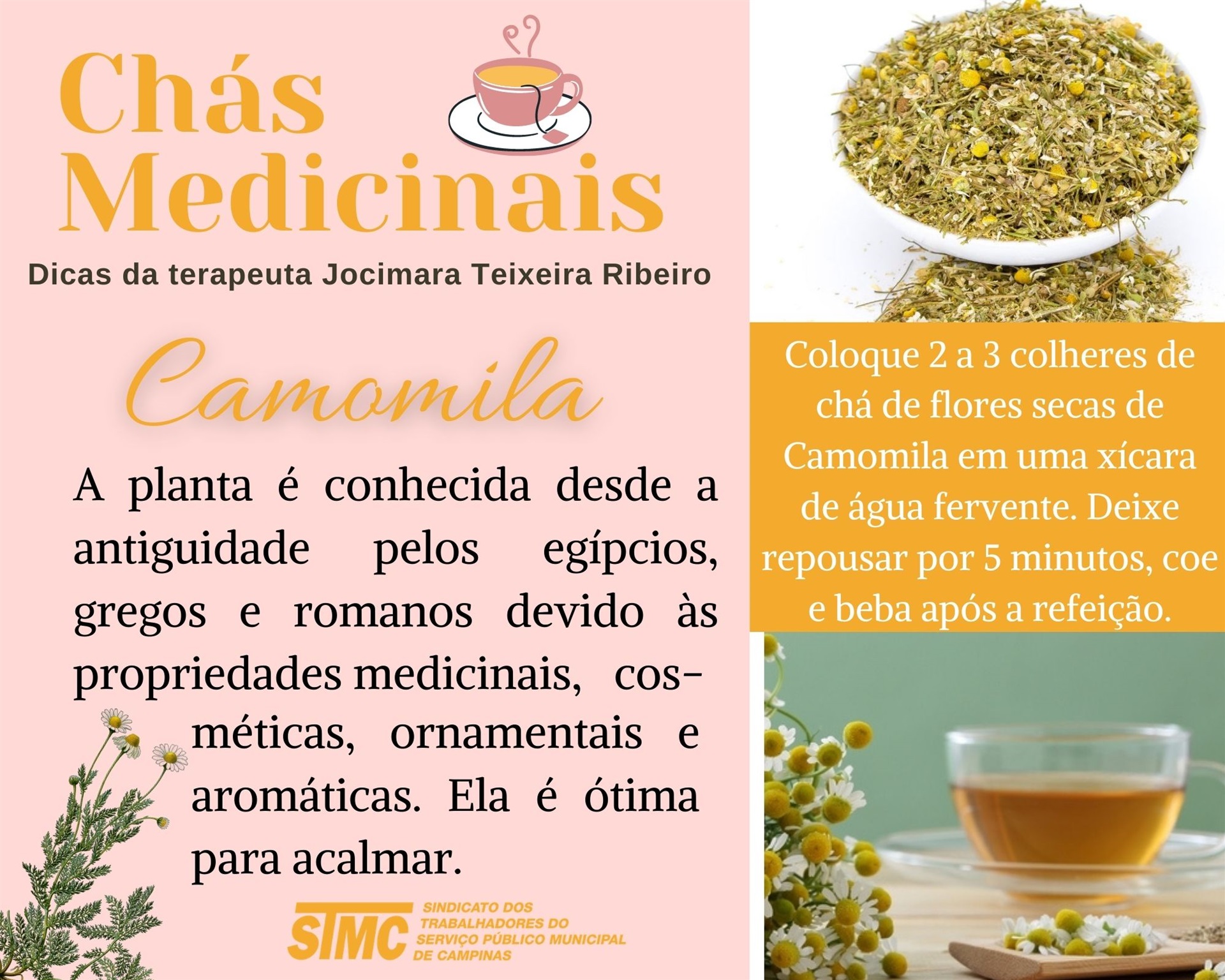 Benefícios do chá de camomila para acalmar bebês (com orientação)
