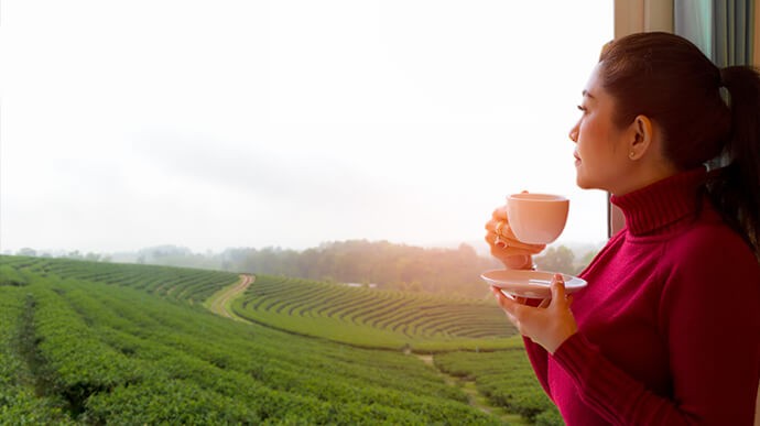Chá de Boldo: Benefícios e como preparar