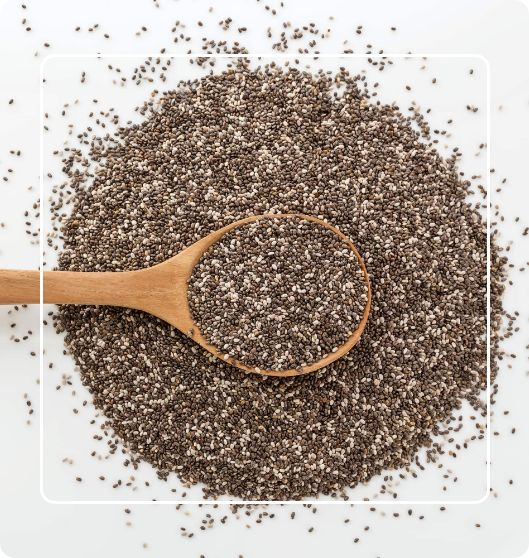 comer chia e aveia viajando sozinho 2026