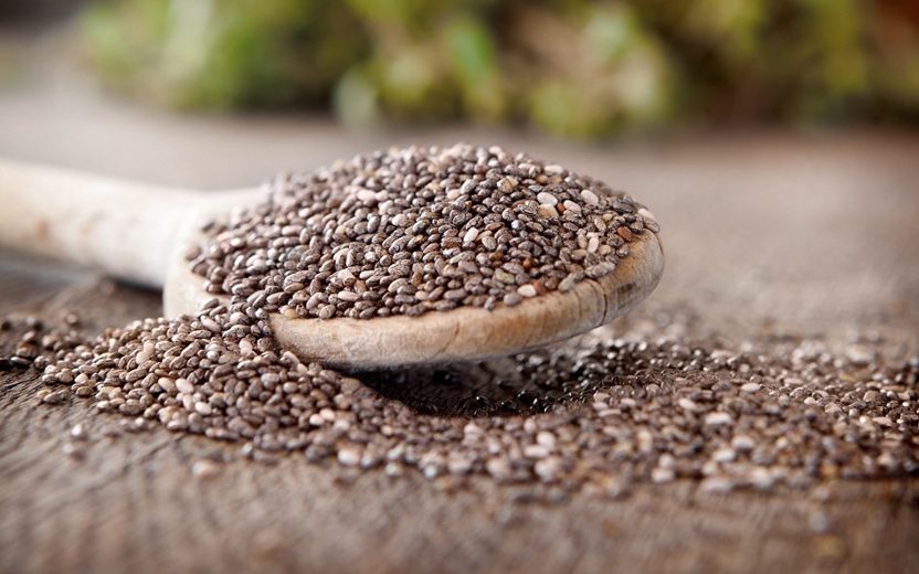 Benefícios do consumo de chia e aveia em viagens solo