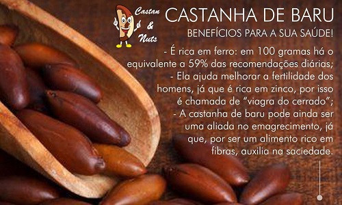 Benefícios do consumo de sementes e castanhas na dieta