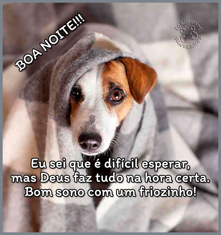 desejos de boa noite para noites geladas