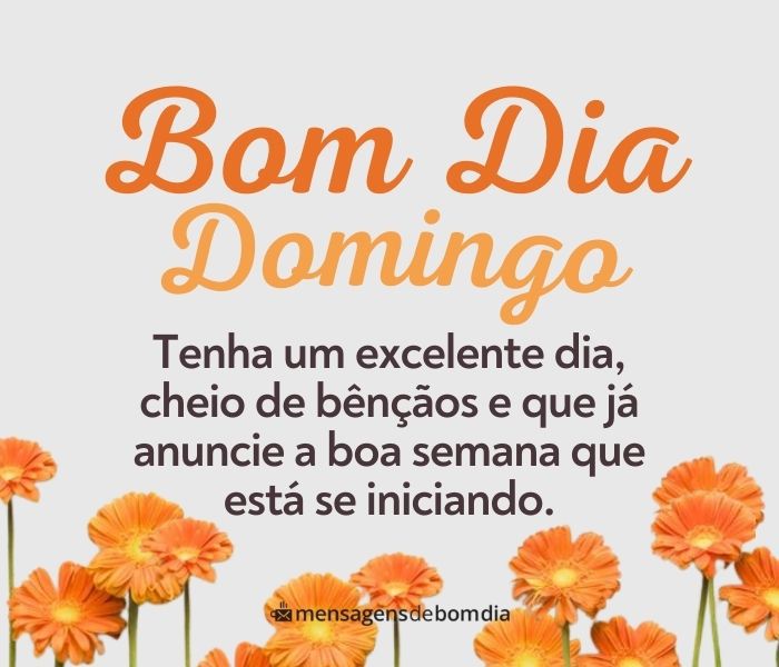 bom dia domingo reflexão