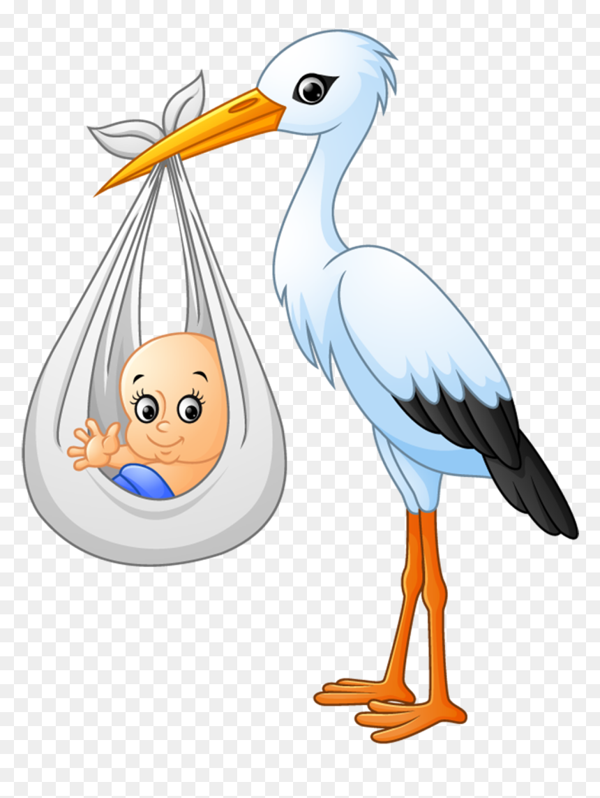 cegonha com bebe png