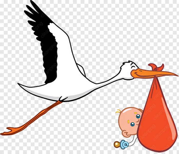 Os Melhores Estilos de Cegonha com Bebê para Projetos de Maternidade