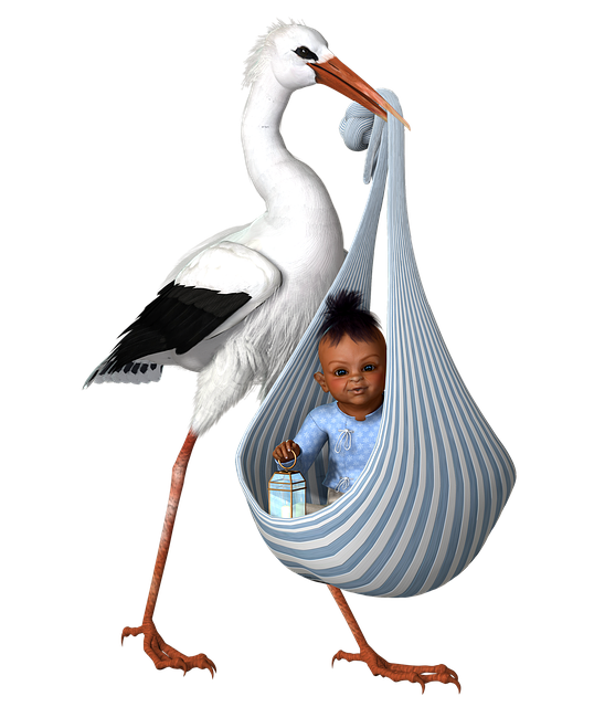 cegonha com bebe png