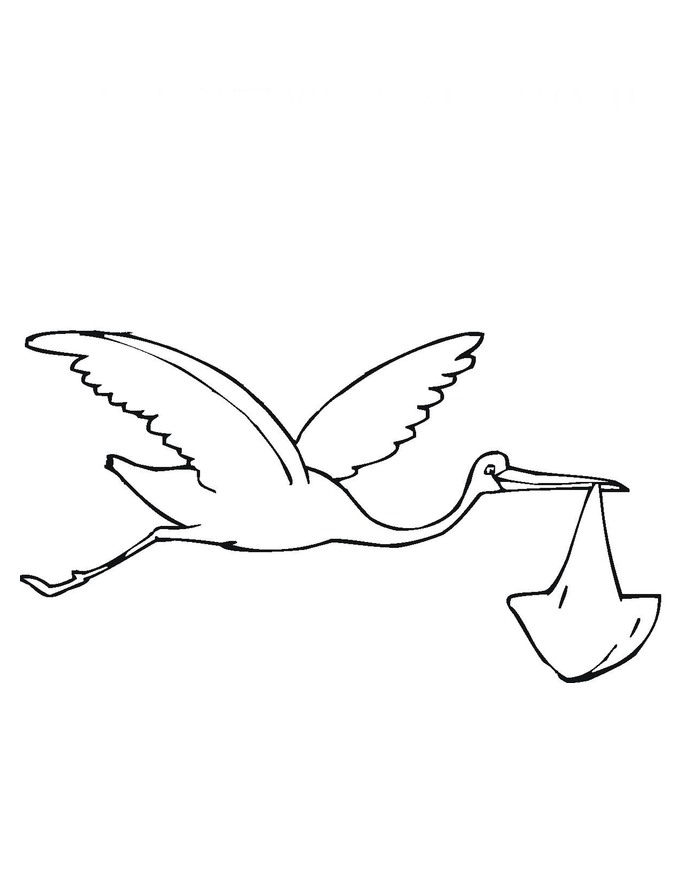 Guia Completo de Licenças para Imagens de Cegonha e Bebê (Uso Pessoal vs. Comercial)