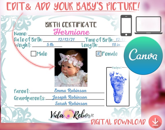 certidão de nascimento bebe reborn