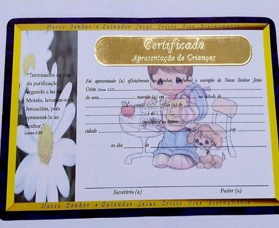 O Que Não Pode Faltar no Certificado de Dedicação de Crianças