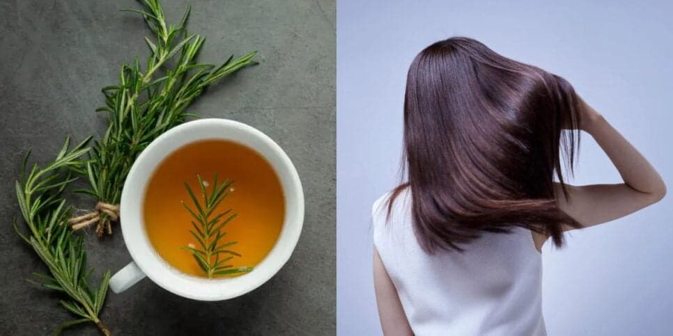 melhores receitas de chá de alecrim para cabelo crescer