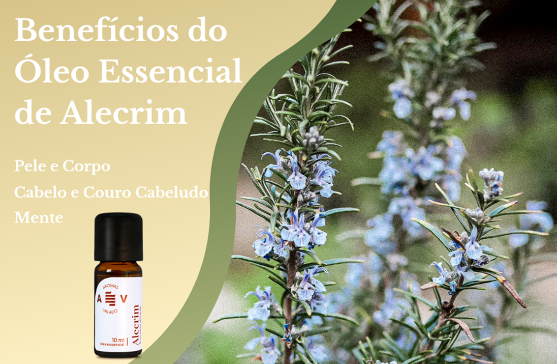 erros comuns ao usar chá de alecrim no cabelo