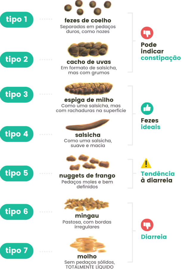 Constipação vs. Diarreia em Bebês: Como Identificar e Agir