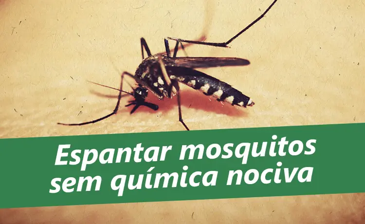 como acabar com pernilongos bem estar