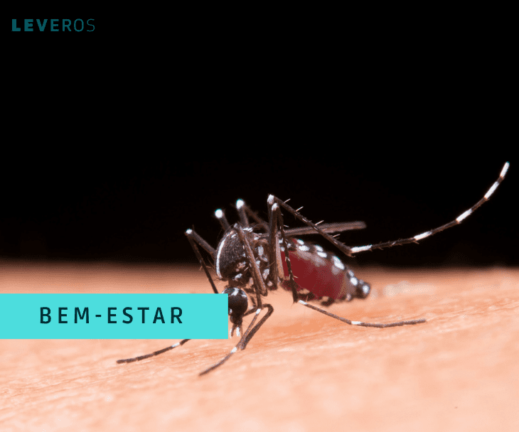 O Poder do Ar-Condicionado e Ventiladores no Combate aos Pernilongos