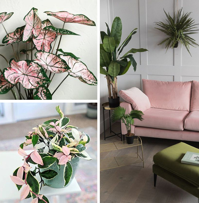 Guia Completo: Como Usar Verde Militar em Looks Casuais e Sofisticados