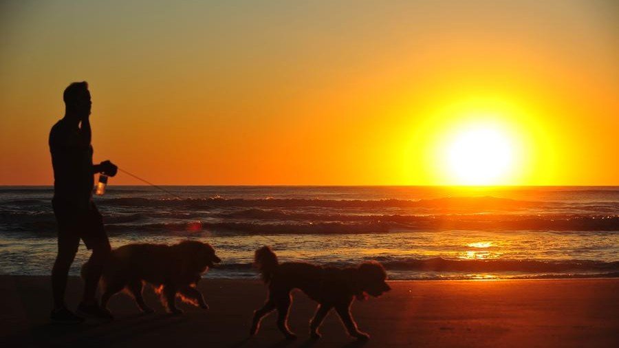 estratégias para ter disciplina matinal